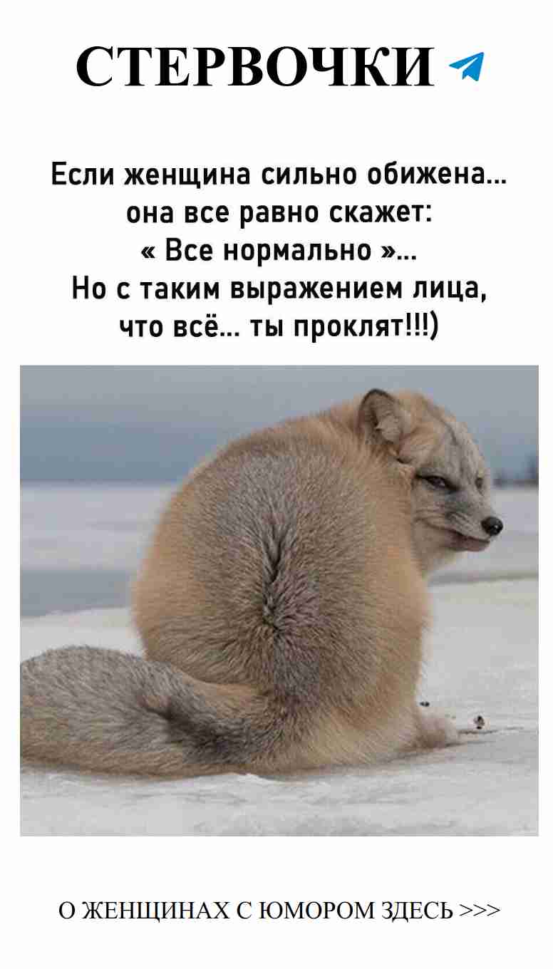 Самые смешные истории о любви, которые заставят смеяться до слез