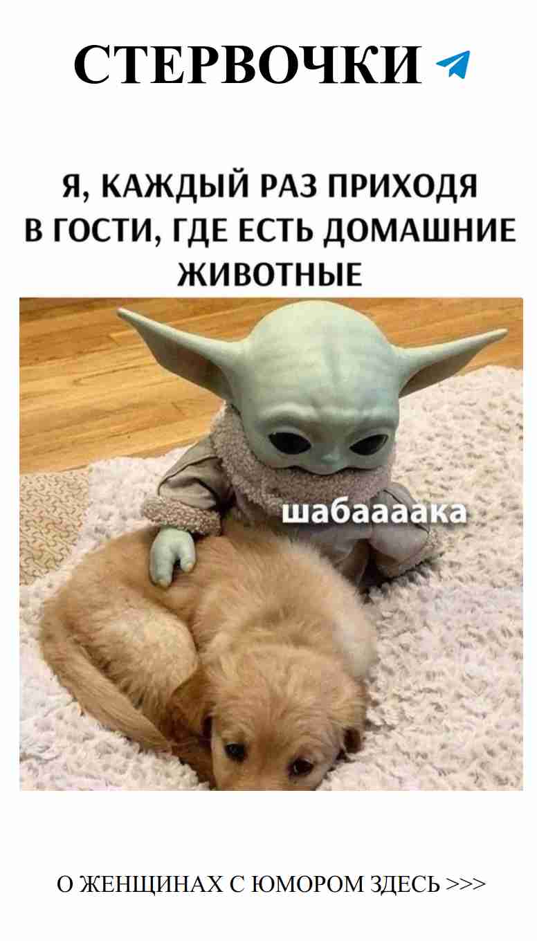 Женский юмор о любви: смех сквозь слёзы и радости