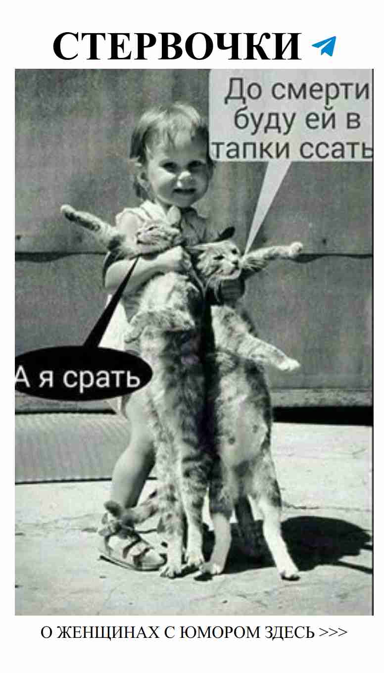 Улыбнись любви: абсурдный юмор, который поднявает настроение