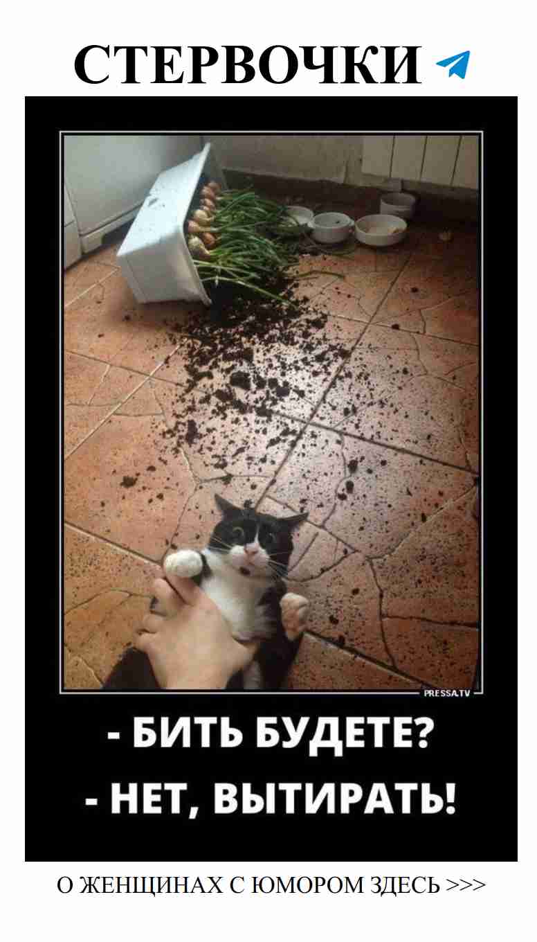 Смех и любовь: как насмешить сердце своего избранника