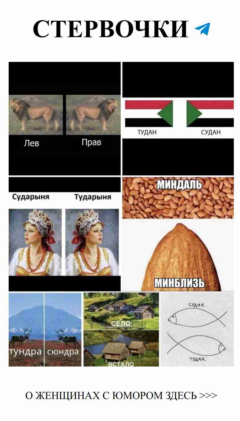 Любовь с юмором: смехом сквозь слёзы в отношениях