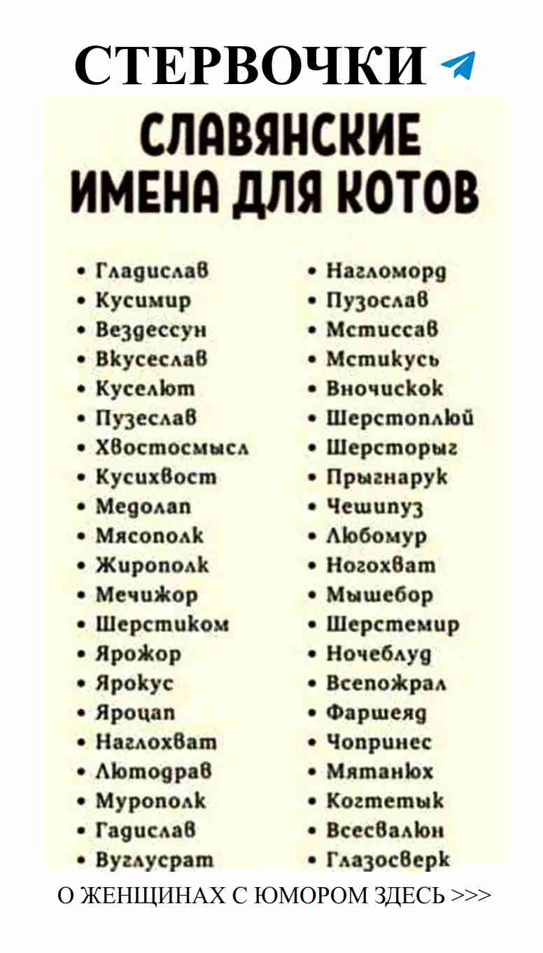 Юмор о любви, который поднимет настроение!