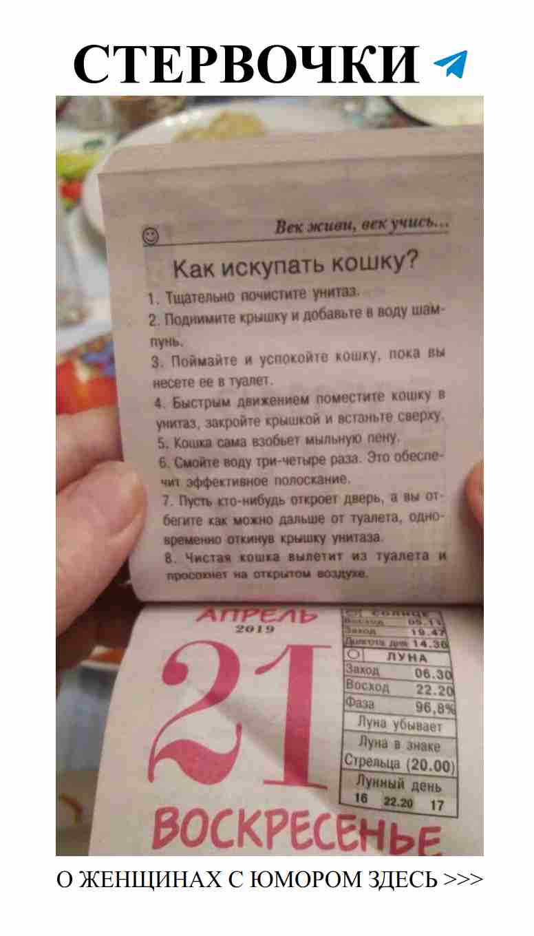 Женская любовь: что нас ждет в ванной с кошкой?