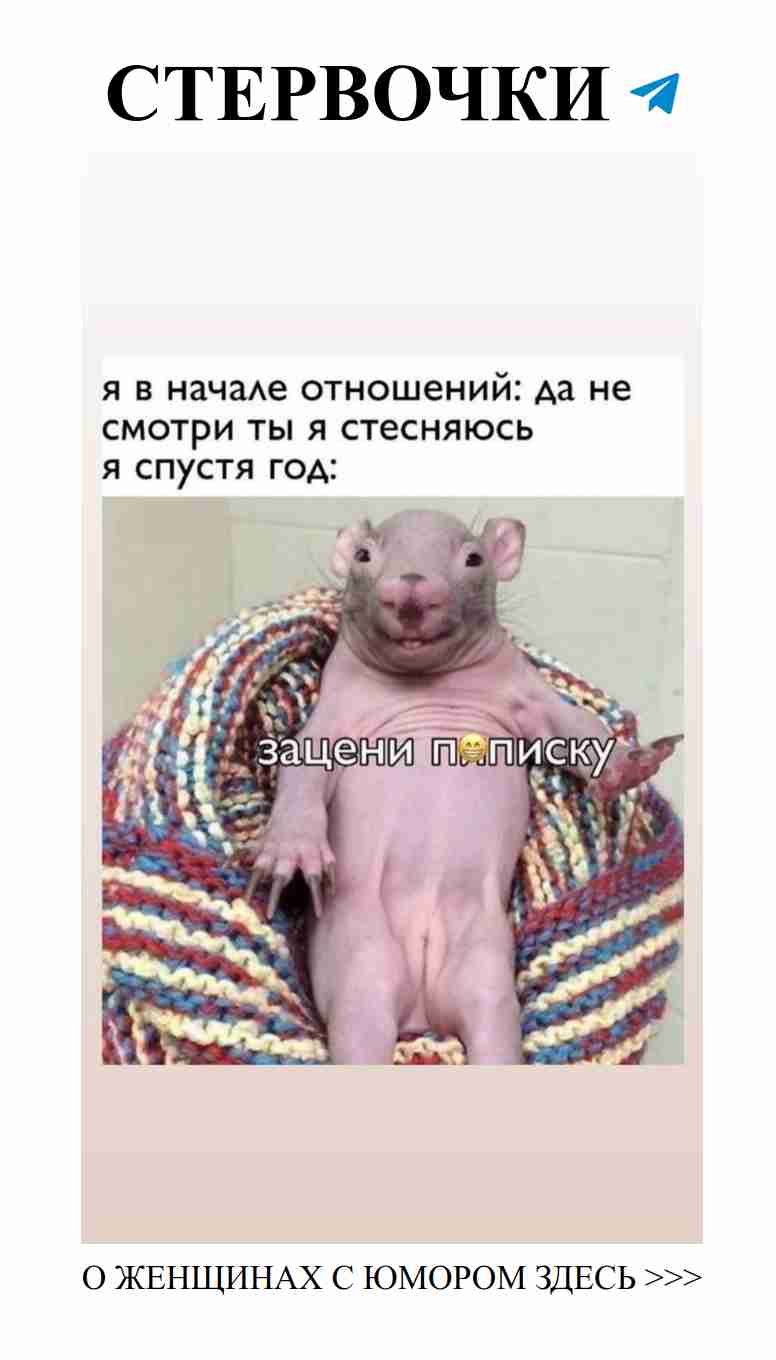 Любовь, смех и женский юмор: как найти счастье в отношениях