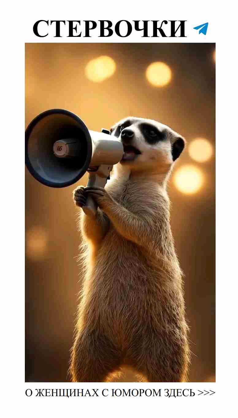 Жизнь — это комедия, а любовь — главный акт!