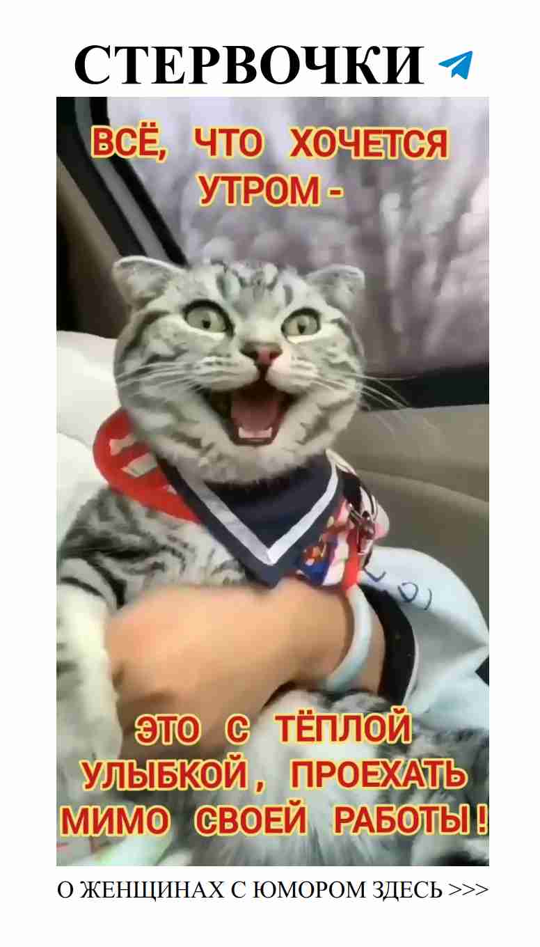 Утренние забавы: как не застрять в офисе и остаться в любви