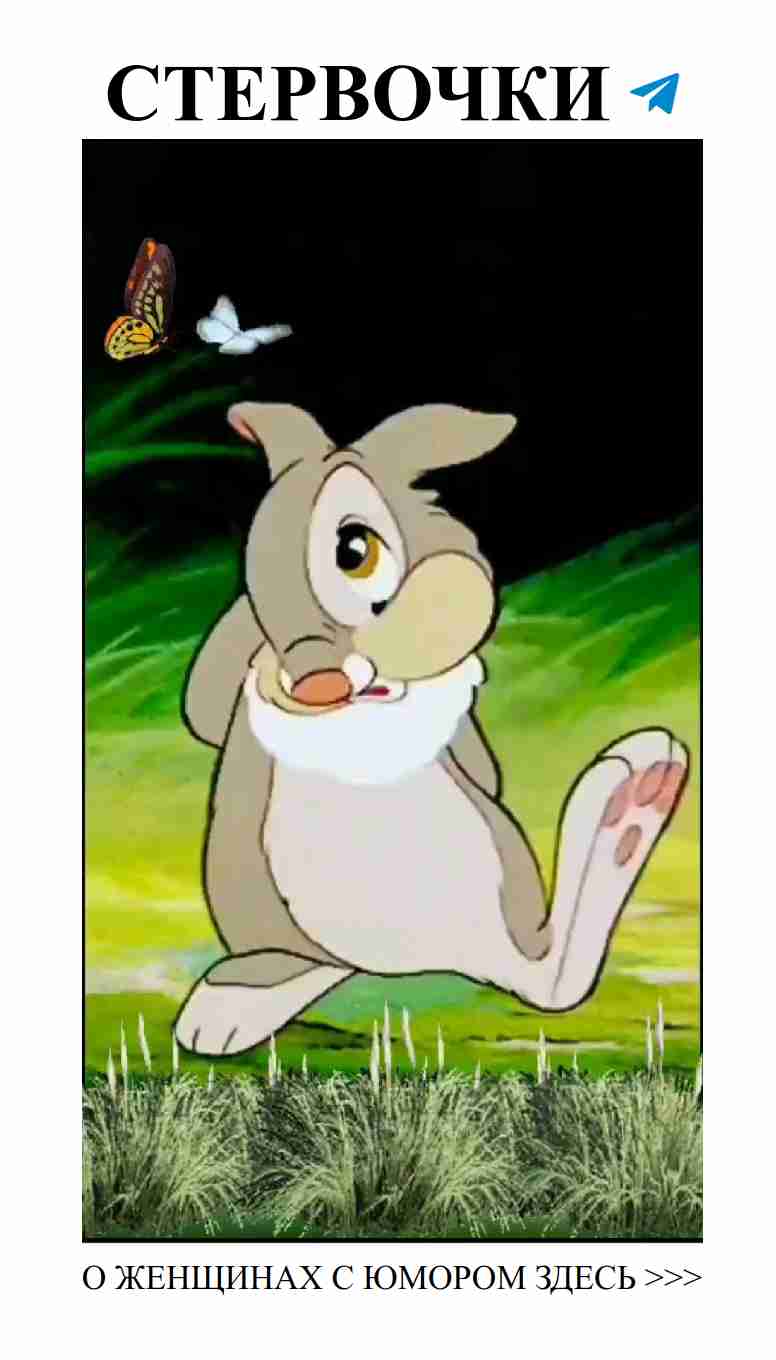 Смешной взгляд на любовь и отношенья для девушек