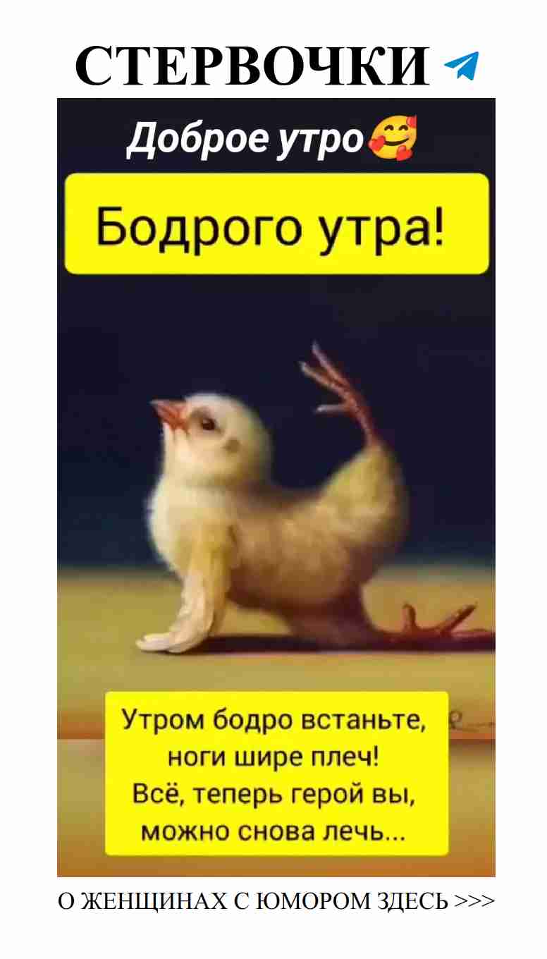 Лучшие женские шутки о любви, которые поднимут настроение